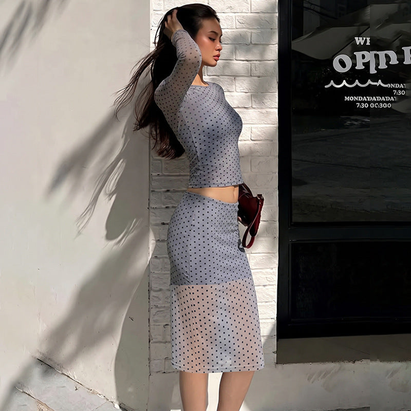 Tina Mesh Skirt Set